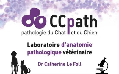 Création de logo et d’une plaque de type médecin pour un laboratoire de Tournefeuille